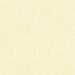 Gạch lát 60x60 Prime Veronio 14.600600.01606